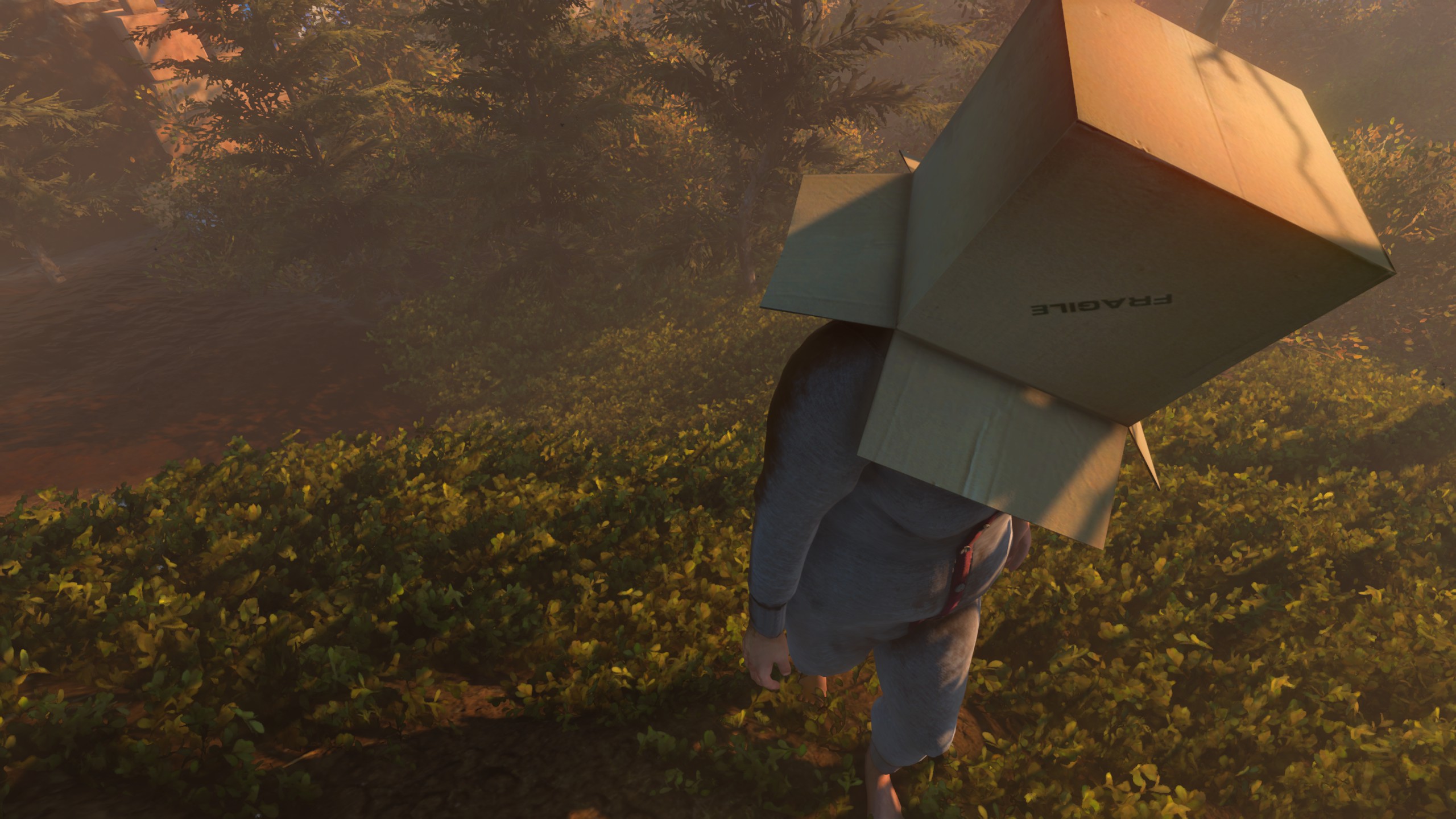 A screenshot of Baby Steps showing Nate with a cardboard box on his head. A stamp on the side of the box says "Fragile" in all caps.